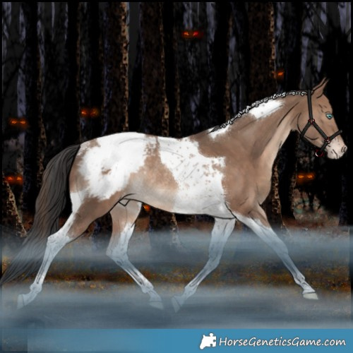 Horse Color:Sable Champagne Tobiano Appaloosa Rabicano