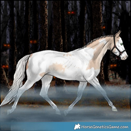 Horse Color:Silver Sable Champagne Dun Splash Tobiano Snowcap