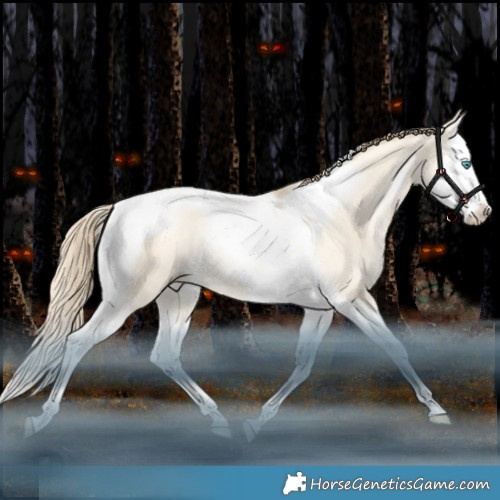 Horse Color:Sable Champagne Snowdrop Dun Splash Tobiano Rabicano