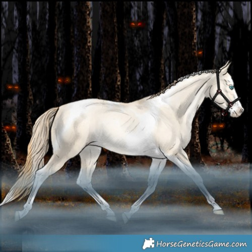 Horse Color:Amber Champagne Snowdrop Dun Splash Tobiano Varnish Rabicano