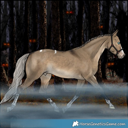 Horse Color:Gray Silver Brown Dun Splash Tobiano Appaloosa Rabicano