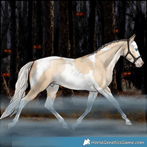 Horse Color:Gray Silver Sable Champagne Snowdrop Dun Splash Tobiano Appaloosa Rabicano