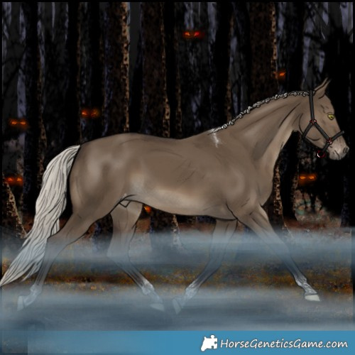 Horse Color:Gray Silver Grullo Tobiano Appaloosa 