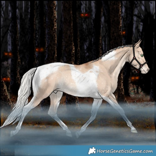 Horse Color:Silver Sable Champagne Dun Tobiano Appaloosa Rabicano
