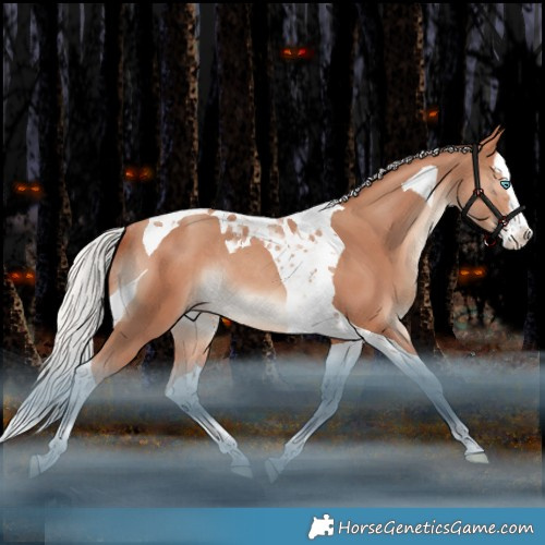 Horse Color:Silver Sable Champagne Splash Tobiano Rabicano 