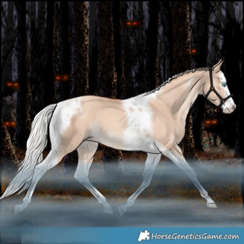 Horse Color:Silver Classic Champagne Dun Splash Tobiano