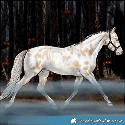 Horse Color:Gray Silver Amber Cream Champagne Snowdrop Dun Splash Tobiano Frame Appaloosa Rabicano