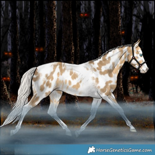 Horse Color:Silver Amber Cream Champagne Splash Tobiano Frame Leopard Rabicano 