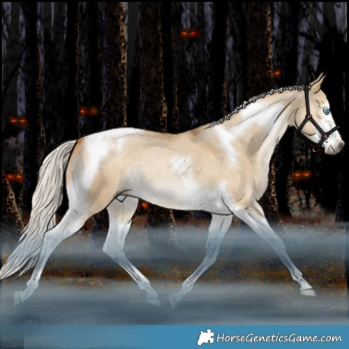Horse Color:Gray Silver Smoky Grullo Snowdrop Splash Tobiano Frame Rabicano