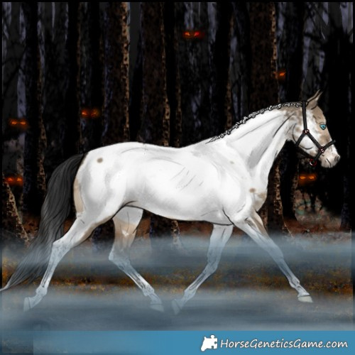 Horse Color:Gray Brown Dun Mushroom Splash Tobiano Frame Appaloosa Rabicano 