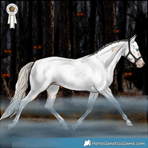 Horse Color:Gray Silver Amber Champagne Dun Splash Tobiano Frame Appaloosa Rabicano 