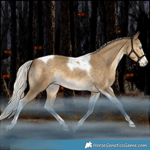 Horse Color:Silver Classic Cream Champagne Splash Tobiano Appaloosa Rabicano 