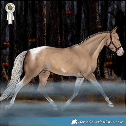 Horse Color:Gray Silver Sable Champagne Dun Mushroom Splash Tobiano Frame 