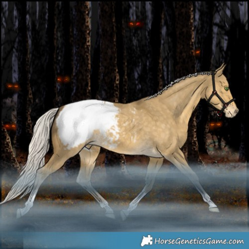 Horse Color:Silver Classic Cream Champagne Dun Tobiano Appaloosa 