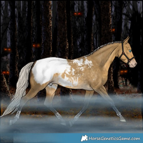 Horse Color:Gray Silver Sable Cream Champagne Dun Mushroom Tobiano Appaloosa