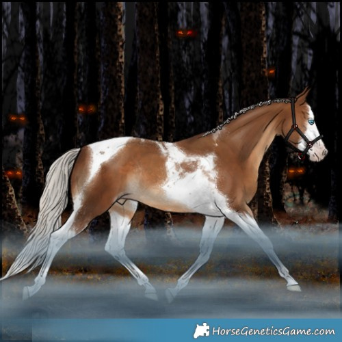 Horse Color:Gray Silver Sable Champagne Splash Tobiano Rabicano