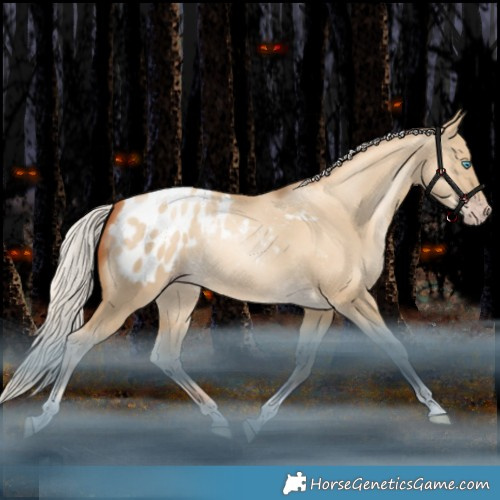 Horse Color:Gray Silver Amber Cream Champagne Snowdrop Dun Tobiano Appaloosa Rabicano 