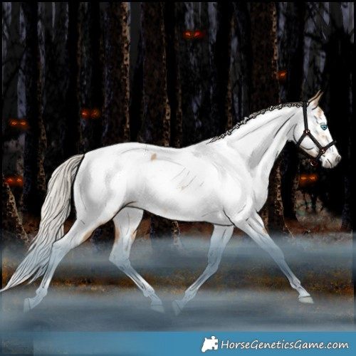 Horse Color:Gray White Spotted Chocolate Palomino Snowdrop Dun Splash Tobiano Appaloosa Rabicano 
