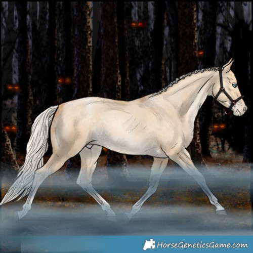 Horse Color:White Spotted Silver Buckskin Snowdrop Dun Tobiano Rabicano