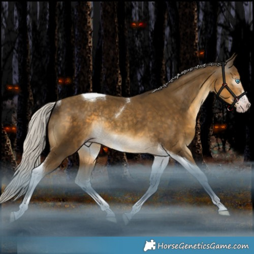 Horse Color:Gray White Spotted Silver Classic Cream Champagne Tobiano Rabicano