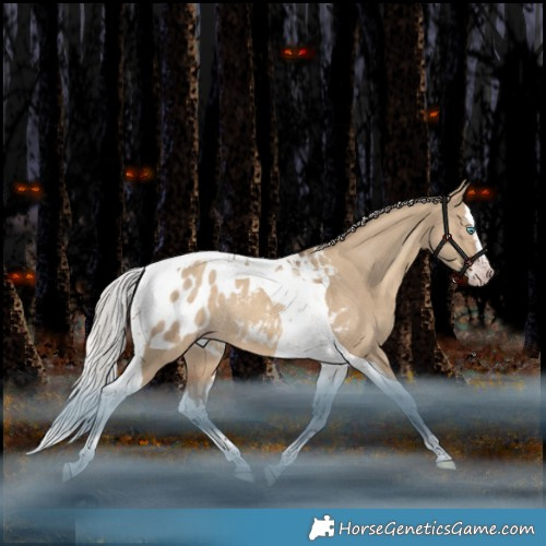 Horse Color:Gray Silver Sable Champagne Dun Splash Tobiano Appaloosa Rabicano 