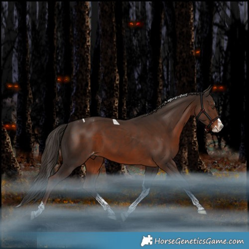 Horse Color:Liver Chestnut Splash Tobiano Appaloosa Rabicano 
