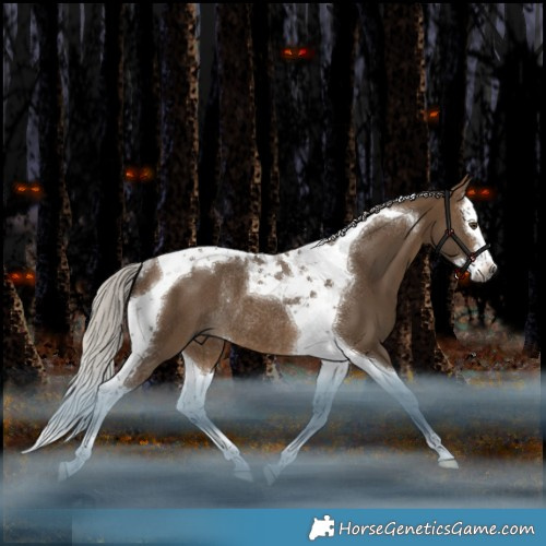 Horse Color:Gray Silver Bay Dun Splash Tobiano Rabicano 