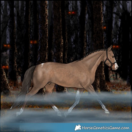 Horse Color:Liver Red Dun Splash Tobiano Rabicano