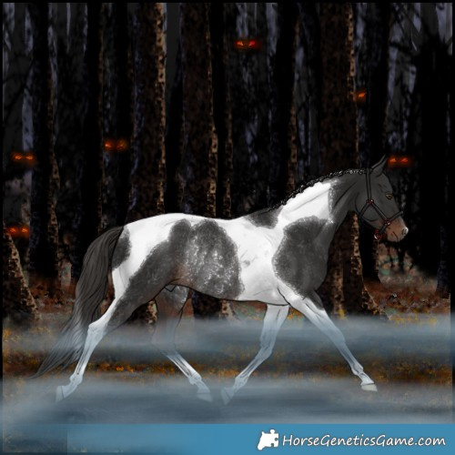 Horse Color:Liver Chestnut Tobiano Rabicano 