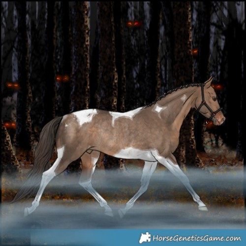 Horse Color:Brown Dun Tobiano Appaloosa Rabicano 