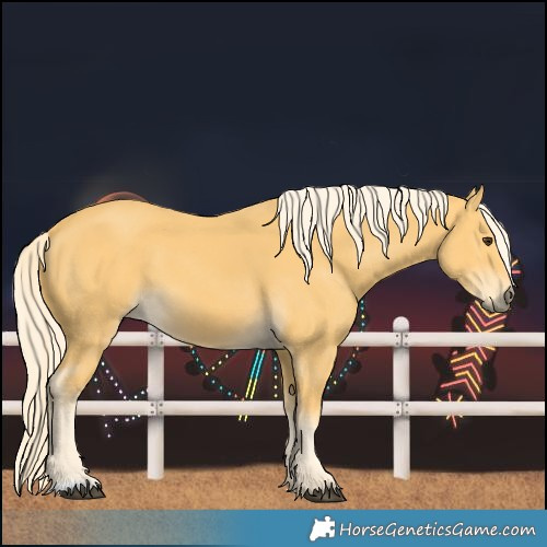 Horse Color:Palomino