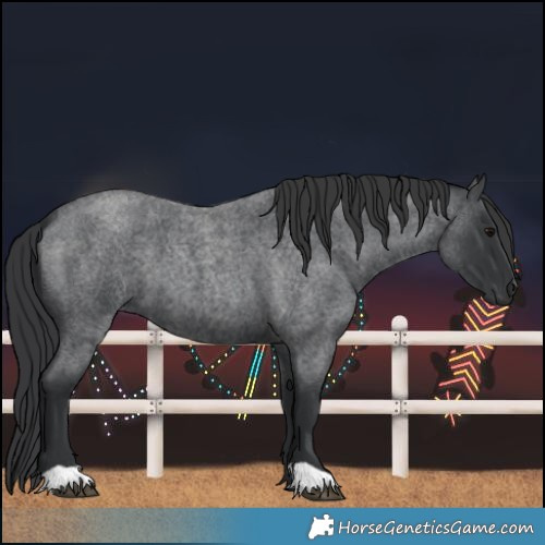 Horse Color:Blue Roan 