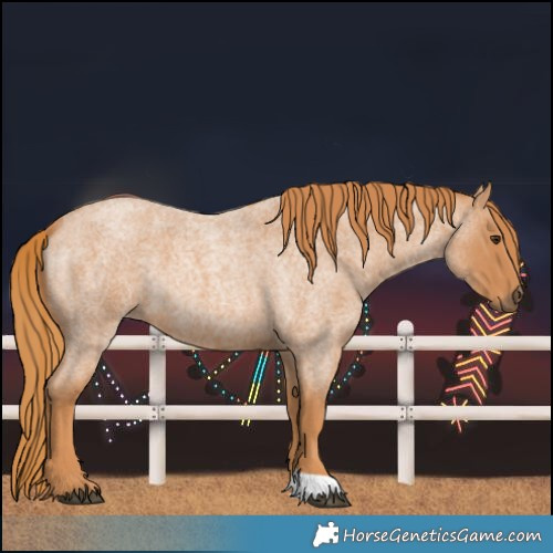 Horse Color:Red Roan 