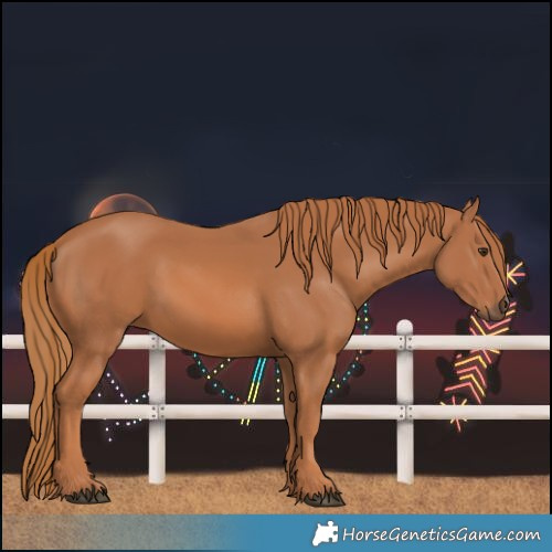 Horse Color:Chestnut 