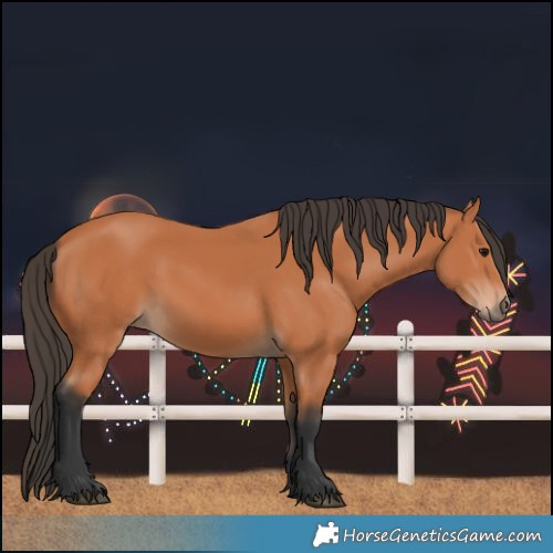 Horse Color:Bay 
