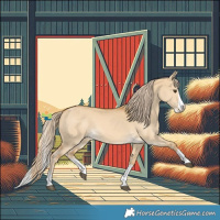 Horse Color:Palomino Dun Splash 