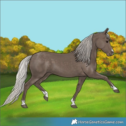 Horse Color:Silver Black 