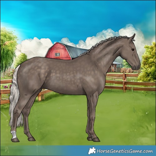 Horse Color:Silver Black 