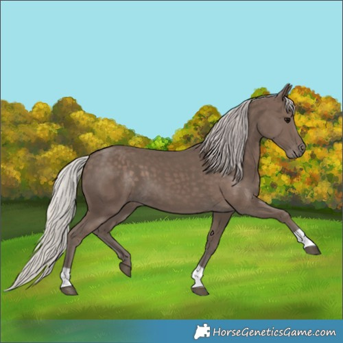 Horse Color:Silver Black 