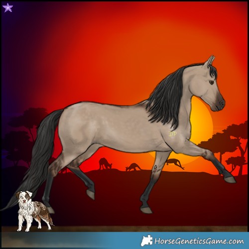 Horse Color:Liver Red Dun Rabicano