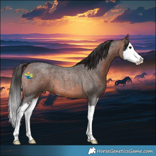 Horse Color:Brown Roan Splash 