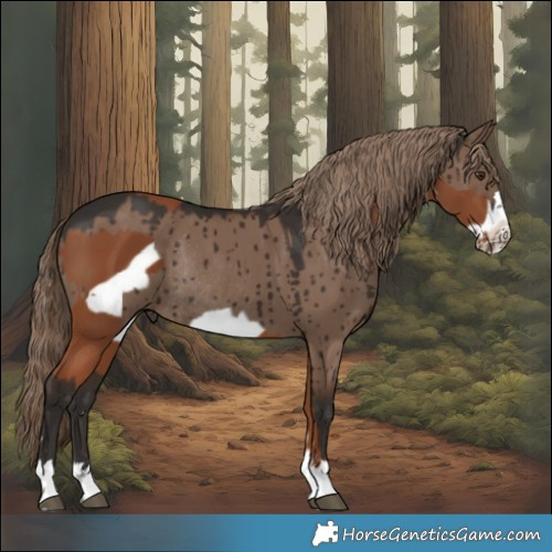 Horse Color:Chestnut Frame and Liver Red Dun Rabicano Brindle