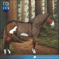 Horse Color:Chestnut Frame and Liver Red Dun Rabicano Brindle