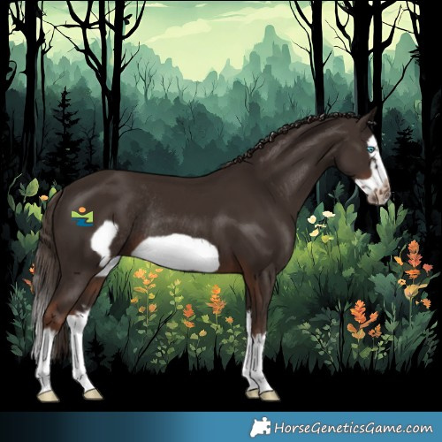 Horse Color:Liver Chestnut Splash Frame Rabicano