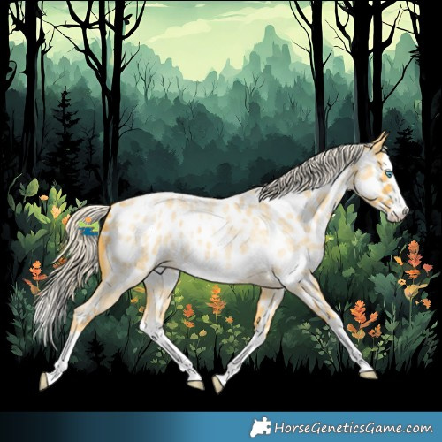 Horse Color:Palomino Roan Splash Frame Near Leopard Rabicano