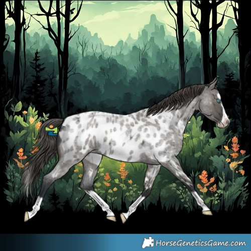 Horse Color:Grullo Roan Splash Frame Appaloosa 