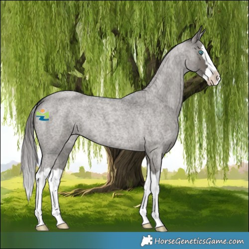 Horse Color:Grullo Roan Splash Skewed LP Spotted