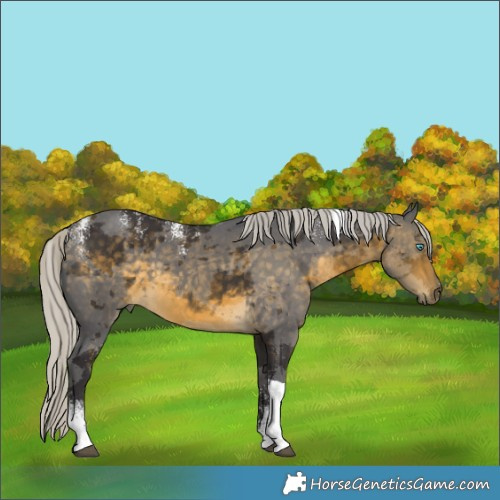 Horse Color:Powder White Silver Buckskin Merle Tobiano