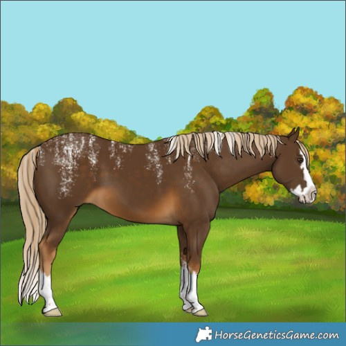 Horse Color:Powder White Chocolate Palomino Splash 