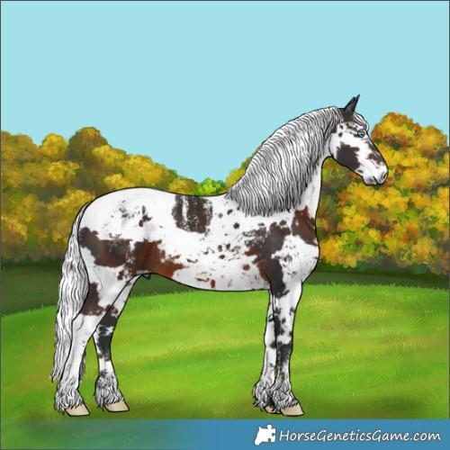 Horse Color:Powder White Brown Harlequin Merle